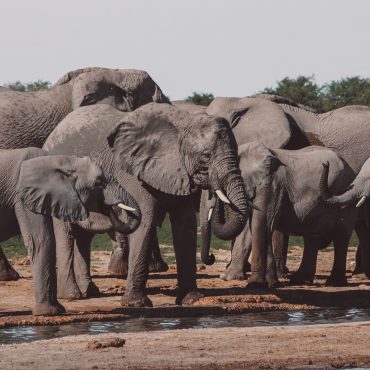 Radio Holiday Namibia Gewinnspiel.